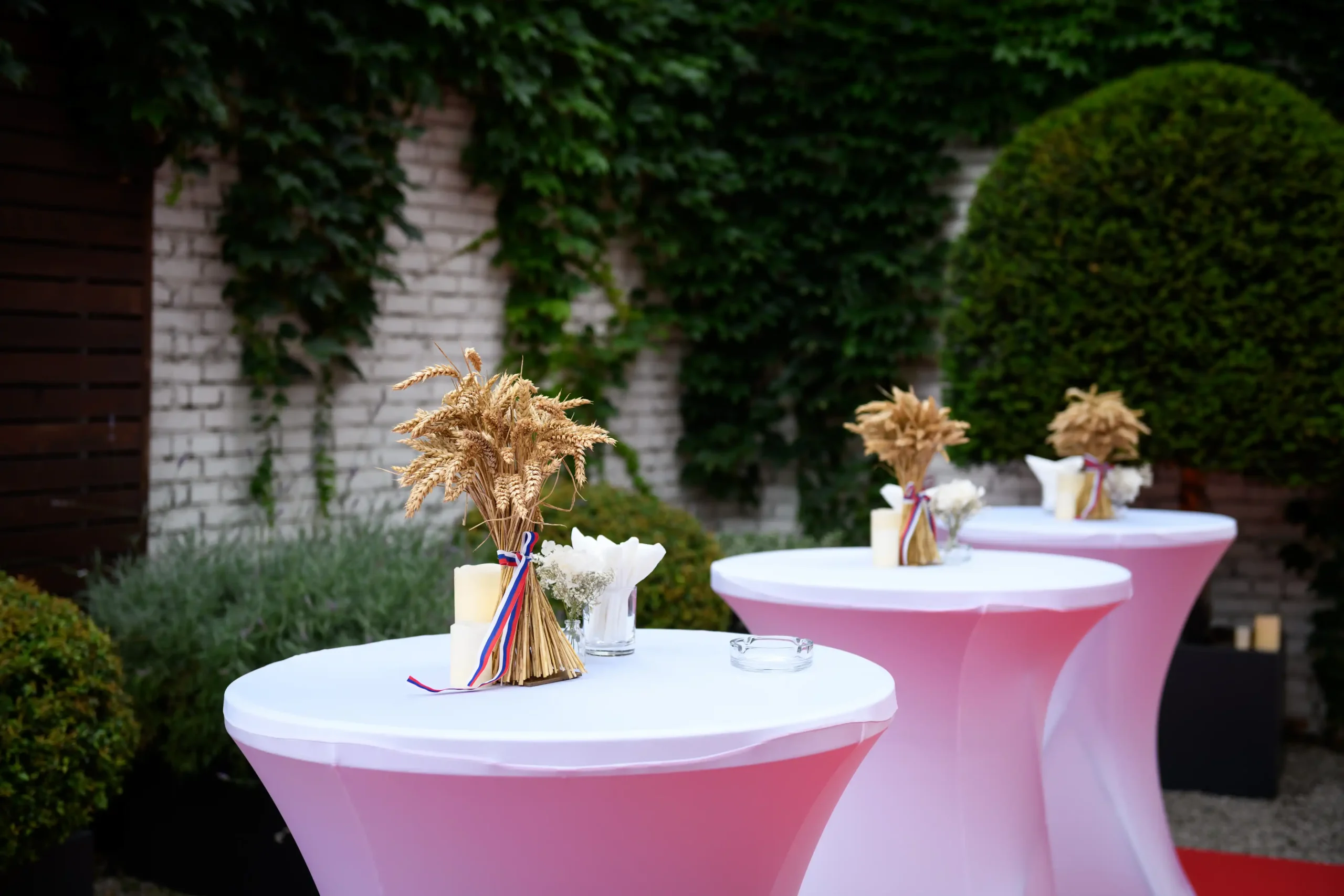 ЧЕТИРИ ГОДИНЕ УСПЕШНОГ РАДА: Промоција часописа „Напредак“ пред великим бројем угледних званица 9 Image Alex Dmitrovic 0004 scaled