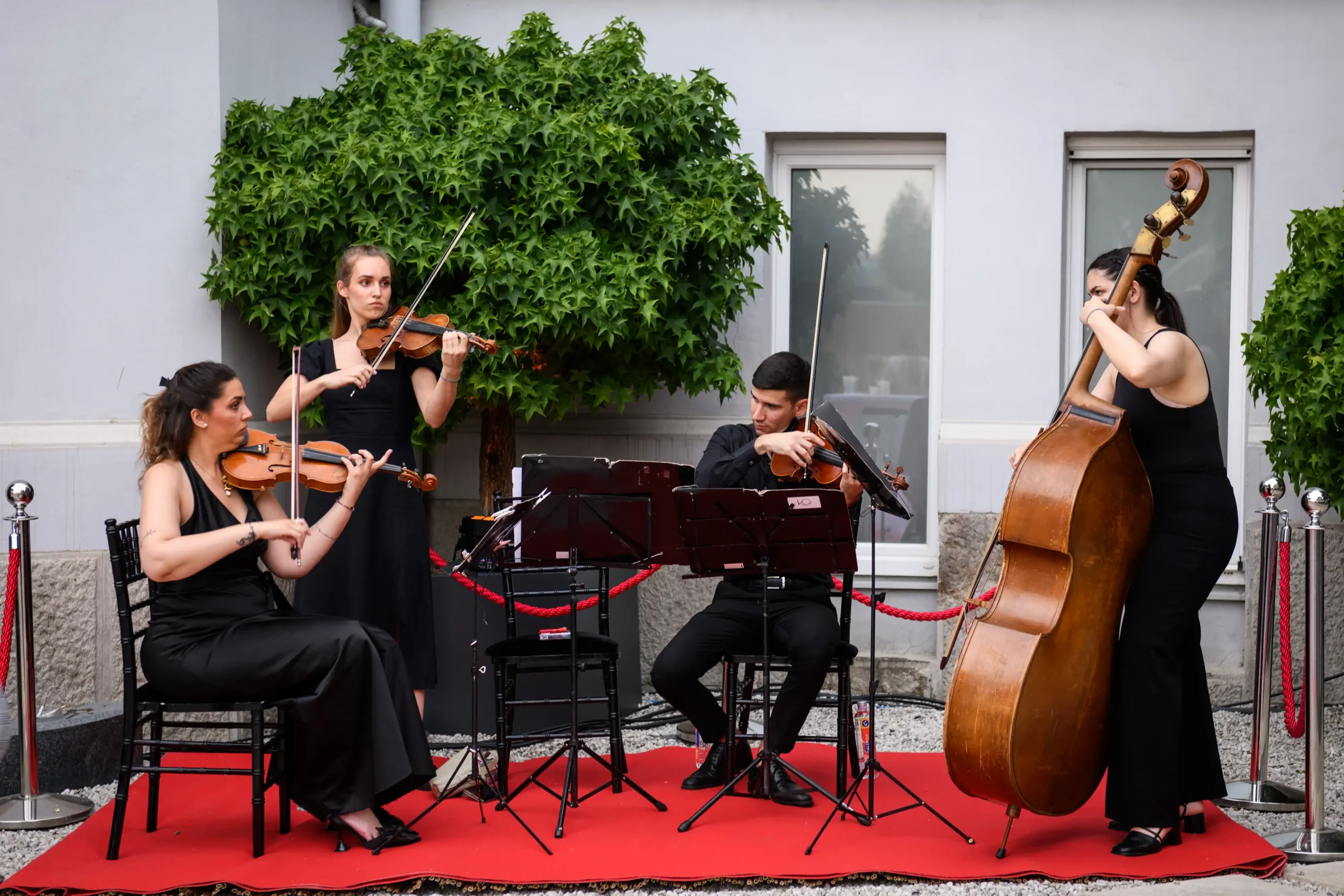 ЧЕТИРИ ГОДИНЕ УСПЕШНОГ РАДА: Промоција часописа „Напредак“ пред великим бројем угледних званица 10 Image Alex Dmitrovic 0005 scaled