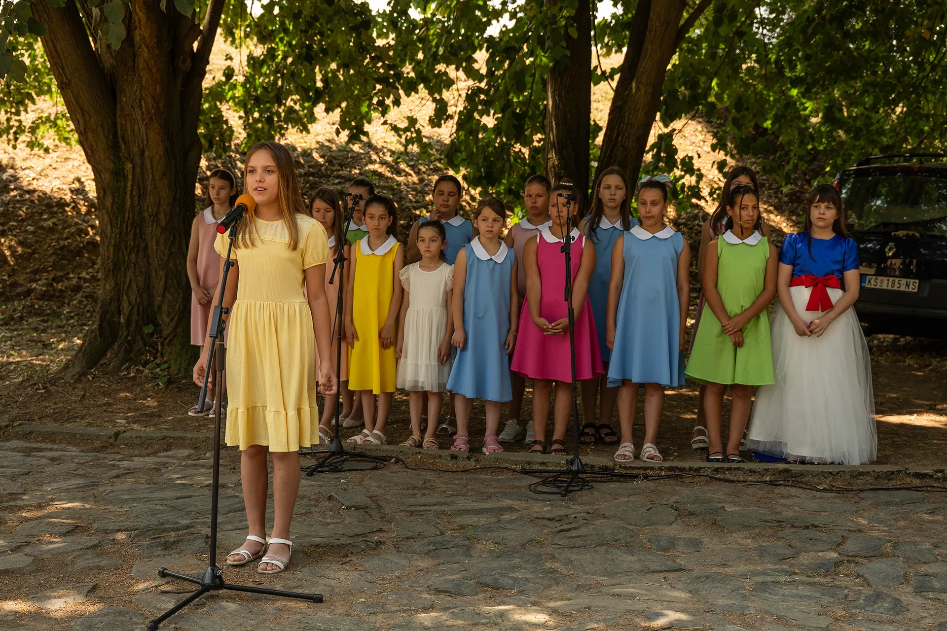 Спомен-плоча са текстом Добрице Ћосића положена на Слободишту у Крушевцу у знак сећања на преко 700 стрељаних Срба, Јевреја и Рома у Другом светском рату 3 Spomen-ploča sa tekstom Dobrice Ćosića